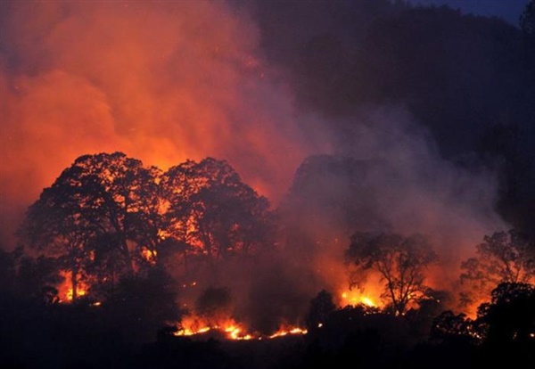 美国加州山火致79人死30万人撤离，亚马逊美国站关闭部分仓库！