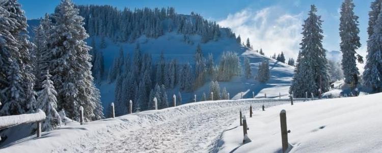最強寒流襲擊美國和日本，大雪造成超千架航班停飛或延誤