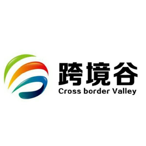 全球速卖通的五种店铺优惠券的设置玩法