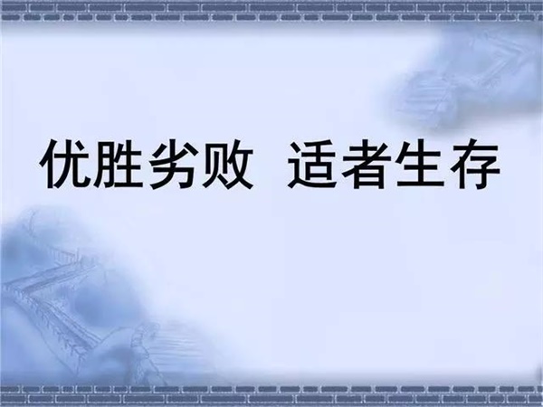 亚马逊：2月18日起上调配送费及2020年物流费用变更