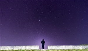 海關(guān)總署：2020年跨境電商同比增長超63%