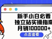 2021新手小白必看独立站实操指南