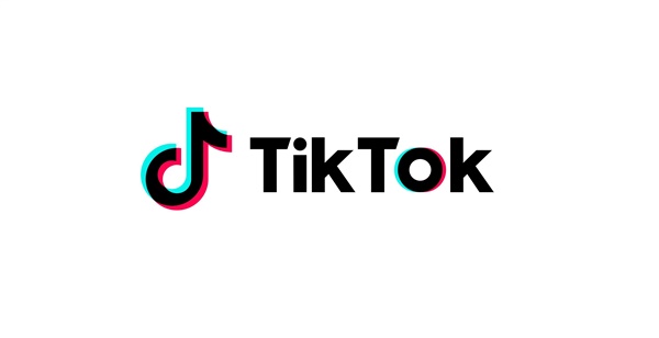 Tiktok2020年数据统计