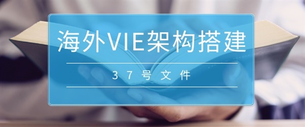 vie 37号文登记