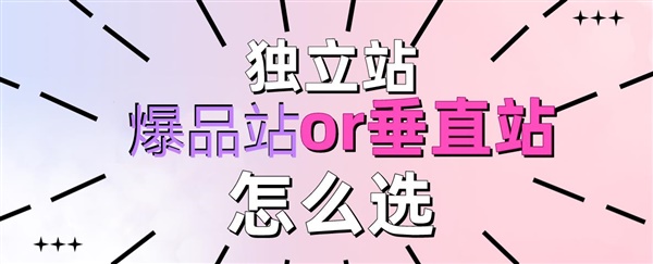 独立站选杂货爆品站还是精耕垂直站？