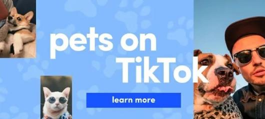 TikTok直播：TikTok直播怎么玩？这一篇文章告诉你