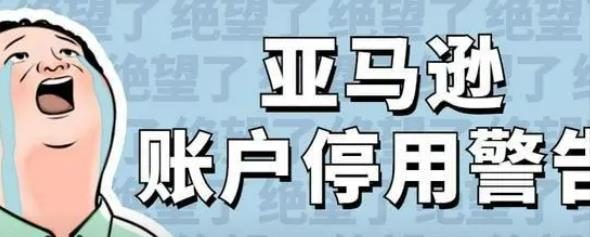 亚马逊的卖家如何防止店铺关联？