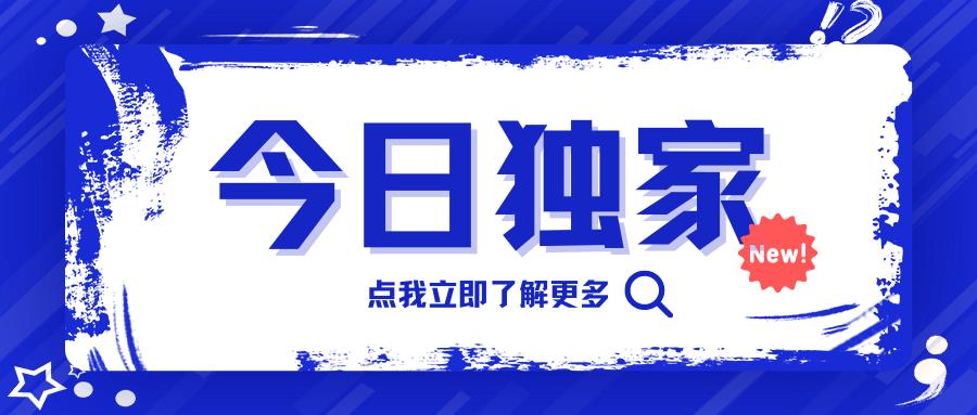 德国ZM申报揭秘：递延数据漏报小心被税局稽查！