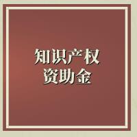 上海市專利資助辦法
