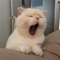 烦躁上班