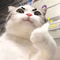 我爱叫啥叫啥
