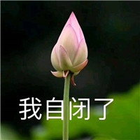 終結者 °
