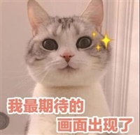雪花飘飘北风萧萧