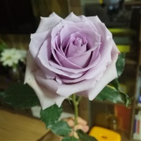 那一刻起
