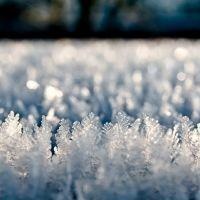 风花雪月