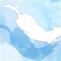 想你的夜