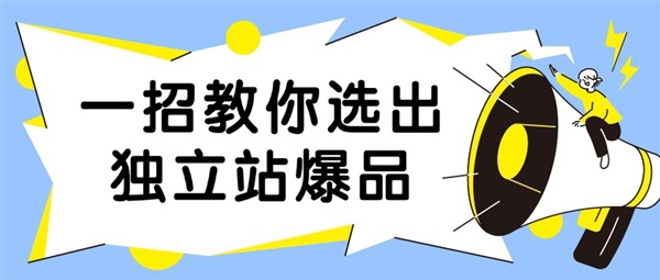 一招教你选出独立站爆品