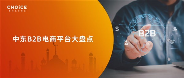 干货来了！盘点中东八大主流B2B电商平台