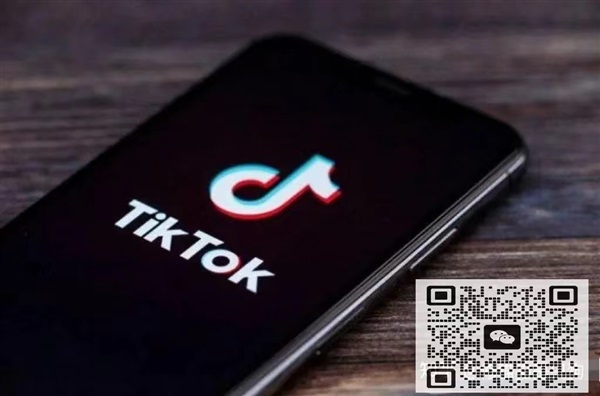 现在Tik Tok公会分成是怎么样的？