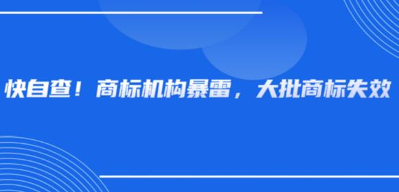 又暴雷！大批商标或将失效，亚马逊商标危机加重