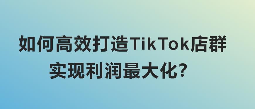 如何高效打造TikTok店群，实现利润最大化？