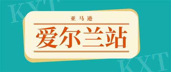 亚马逊TikTok上线爱尔兰站点，12月10日起开放注册入口