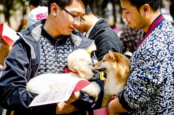 科学养宠风潮席卷全球，宠物经济迎来黄金时代