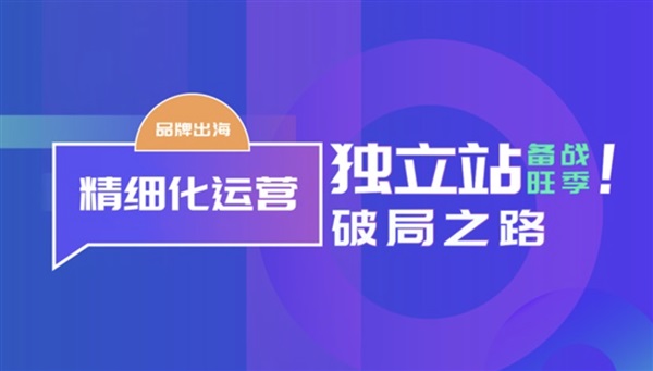 獨(dú)立站品牌官網(wǎng)的那些坑與機(jī)遇！