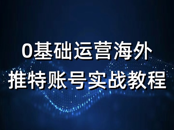 0基礎(chǔ)運(yùn)營(yíng)海外推特賬號(hào)實(shí)戰(zhàn)教程