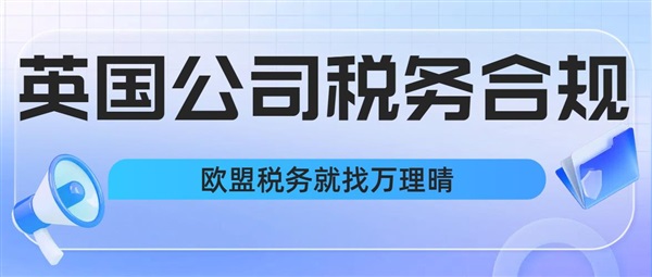 英國公司跨境電商稅務(wù)大全：從稅號注冊到合規(guī)解析