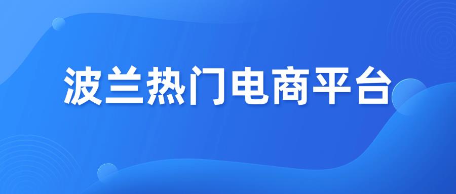 盤點(diǎn)波蘭熱門電商平臺(tái)前10，你知道幾個(gè)？