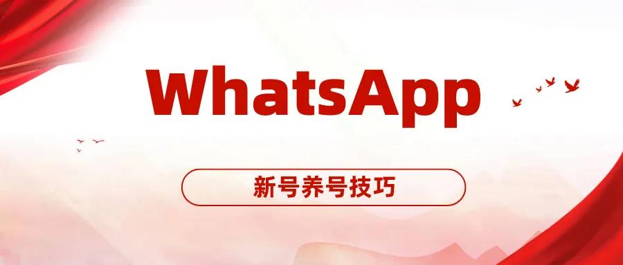 WhatsApp一发消息就封号？来看下这个实用的养号技巧