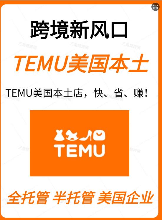 美国公司如何入驻Temu？