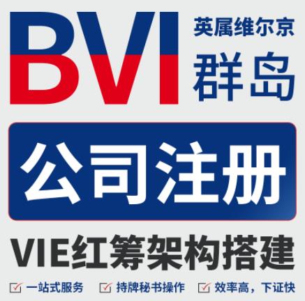 国内公司如何高效注册bvi公司，优势解析与实务指南
