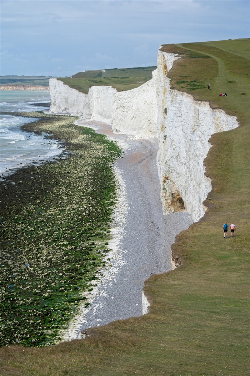 审美力就是竞争力